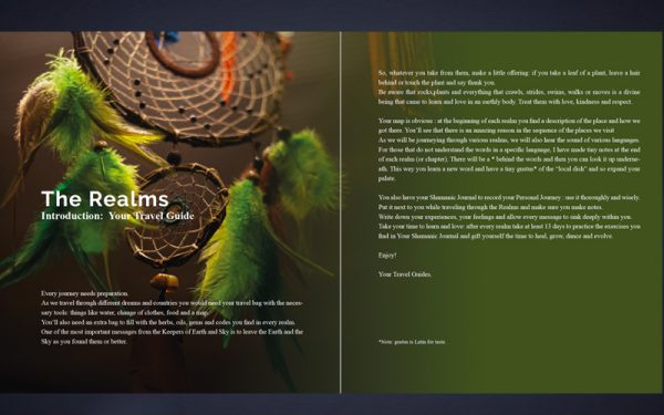Het boek "Shamanic Nature of God" (Nederlandstalig) - Afbeelding 4