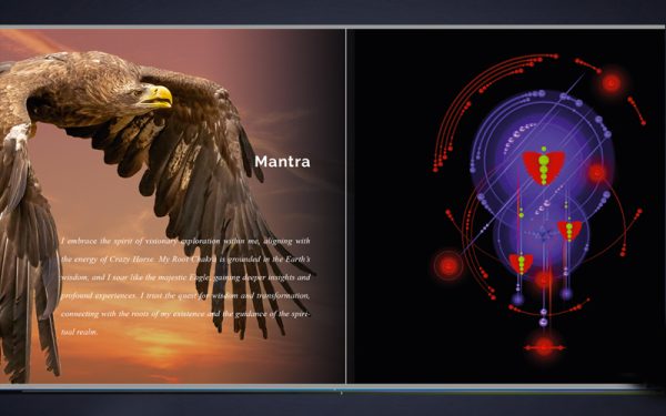 Het boek "Shamanic Nature of God" (Nederlandstalig) - Afbeelding 6
